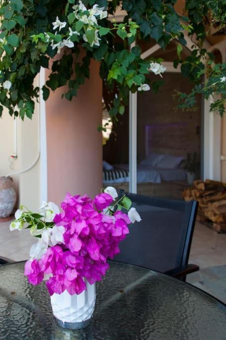 Lenico Beachfront Suites Agia Pelagia  Exterior photo